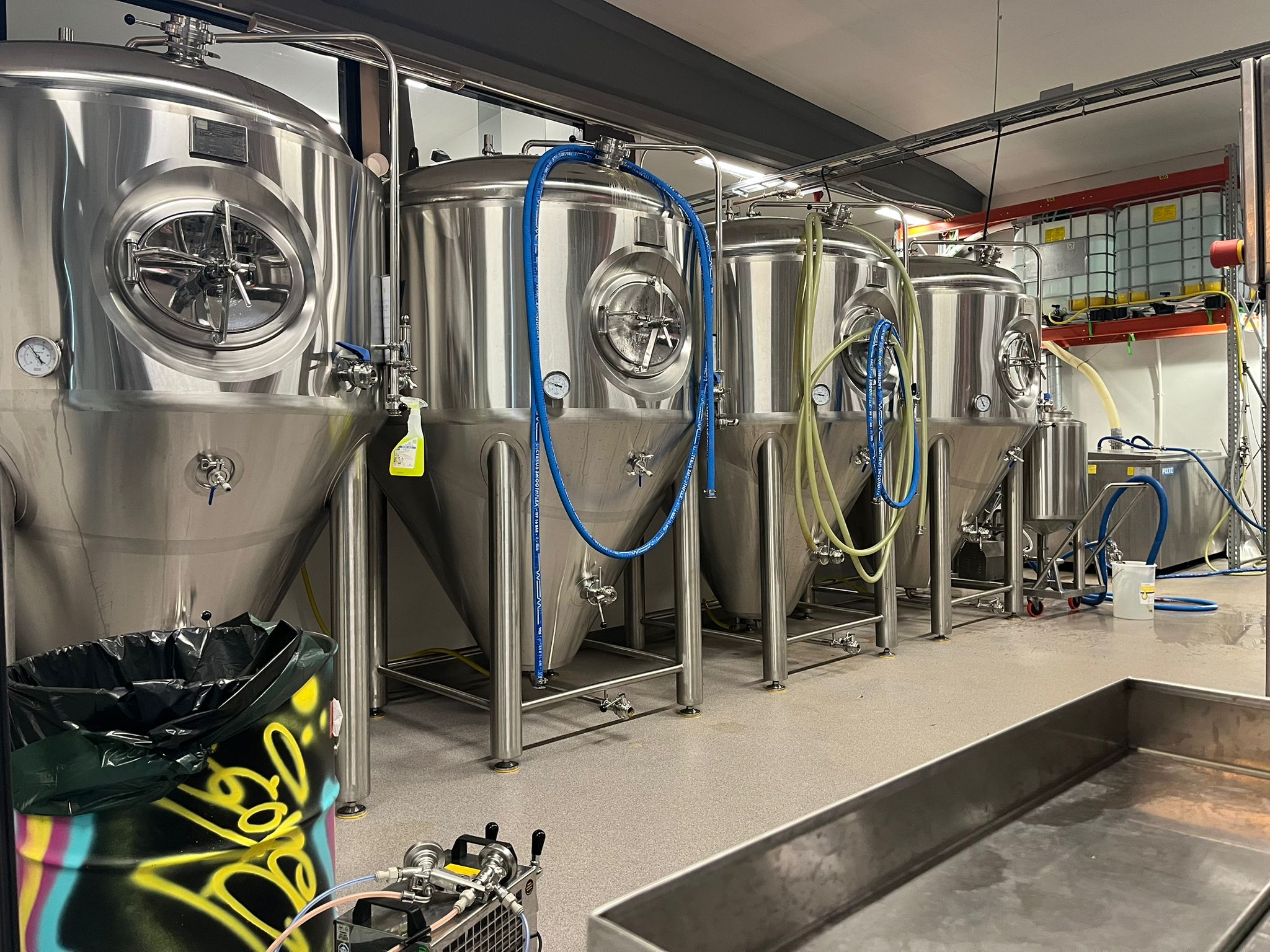 WhatsApp Image 2025-01-29 at 10.08.48