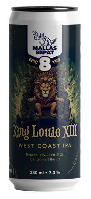 8 Epic Years: King Louie XIII